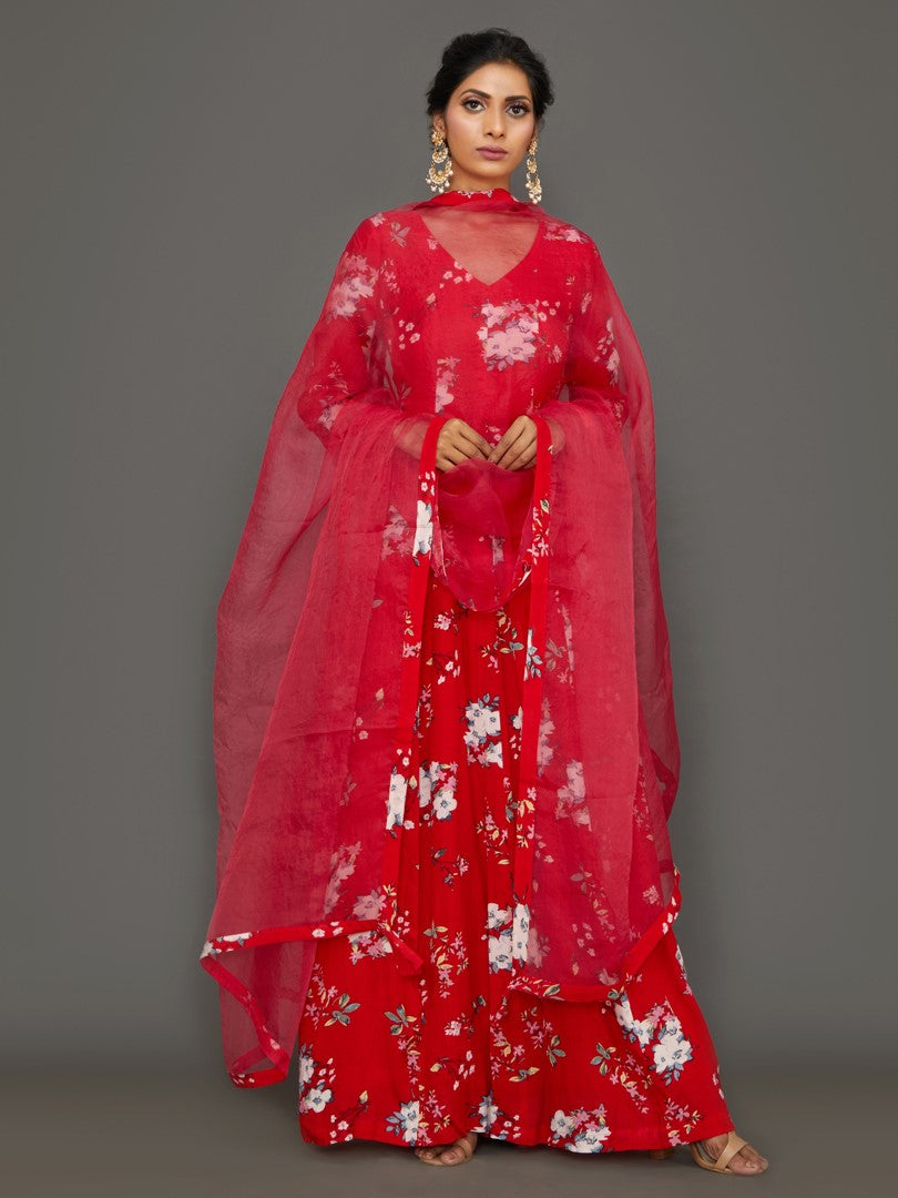 Phoenix Princess Anarkali Set