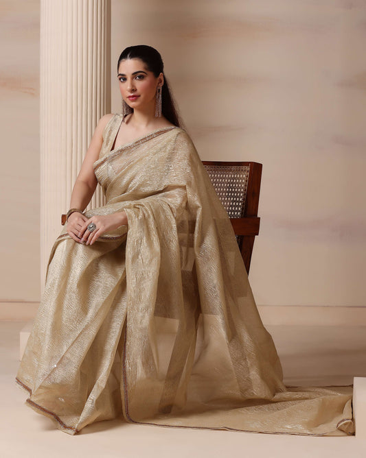 Regal Silver Gold Shimmer Embellished Crush Tissue Saree