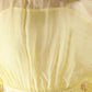 Yellow Drape Coord Set (Set of 4)